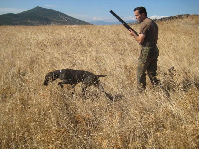 ares-kurzhaar-mahmut-limnili