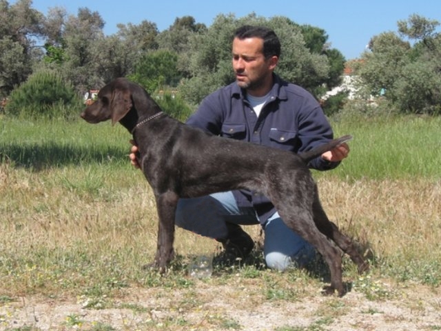 asya-kurzhaar-mahmut64