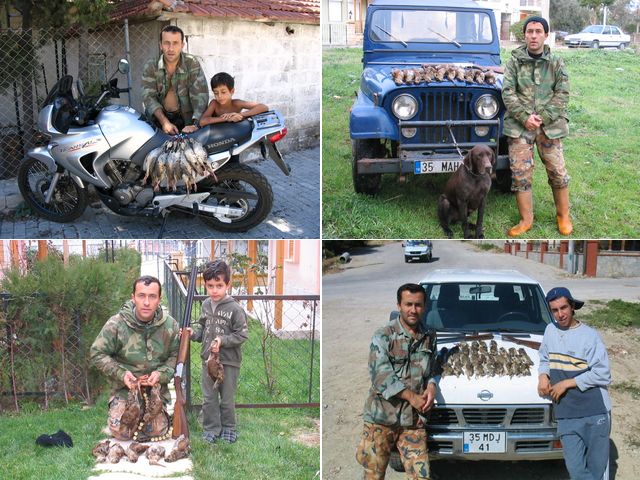 av-foto-mahmut64-mahmut-limnili