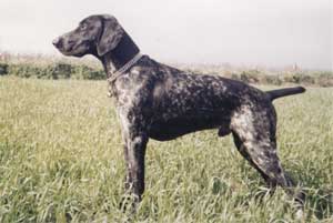 umıt