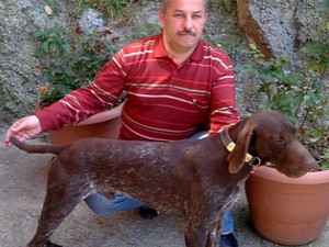 engiz