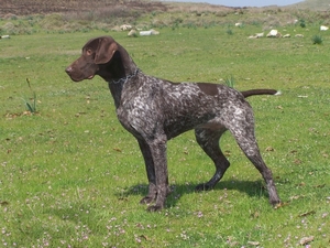 erhan2