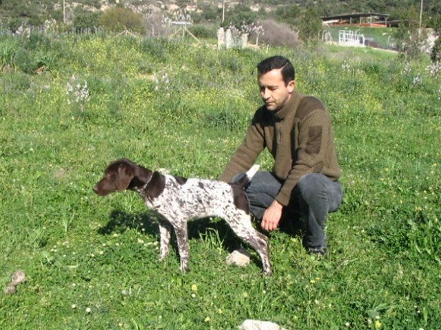 ilginc9-kurzhaar-mahmut-limnili